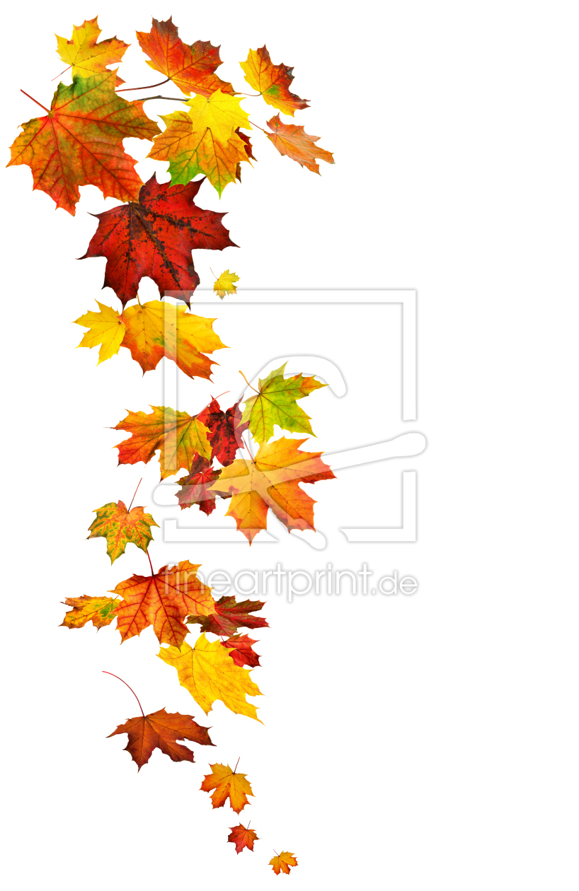 Bild-Nr.: 12909123 Bunte Herbstblätter in fließender Form angeordnet erstellt von Smileus