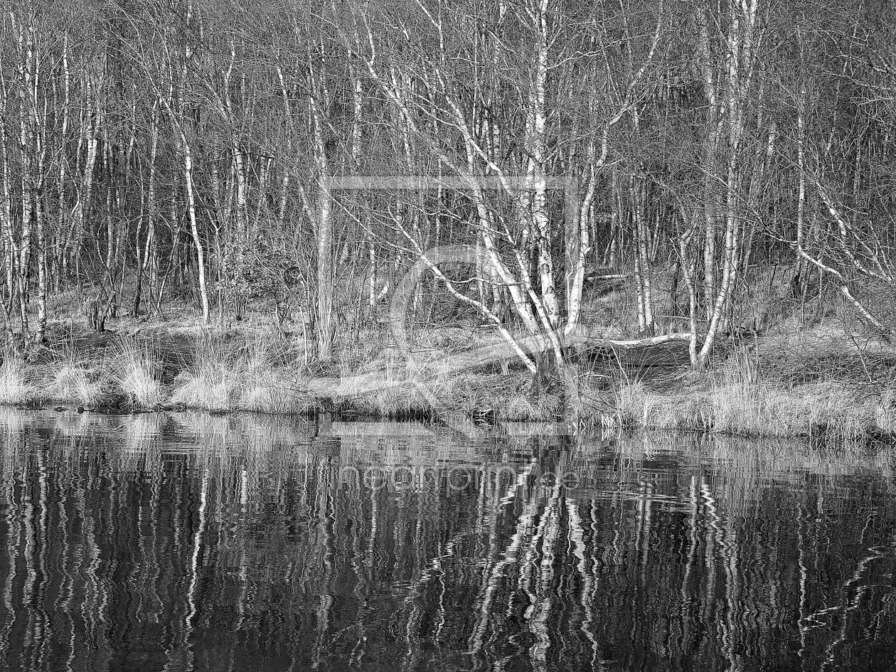 Bild-Nr.: 12909169 Birken am See erstellt von Herbo