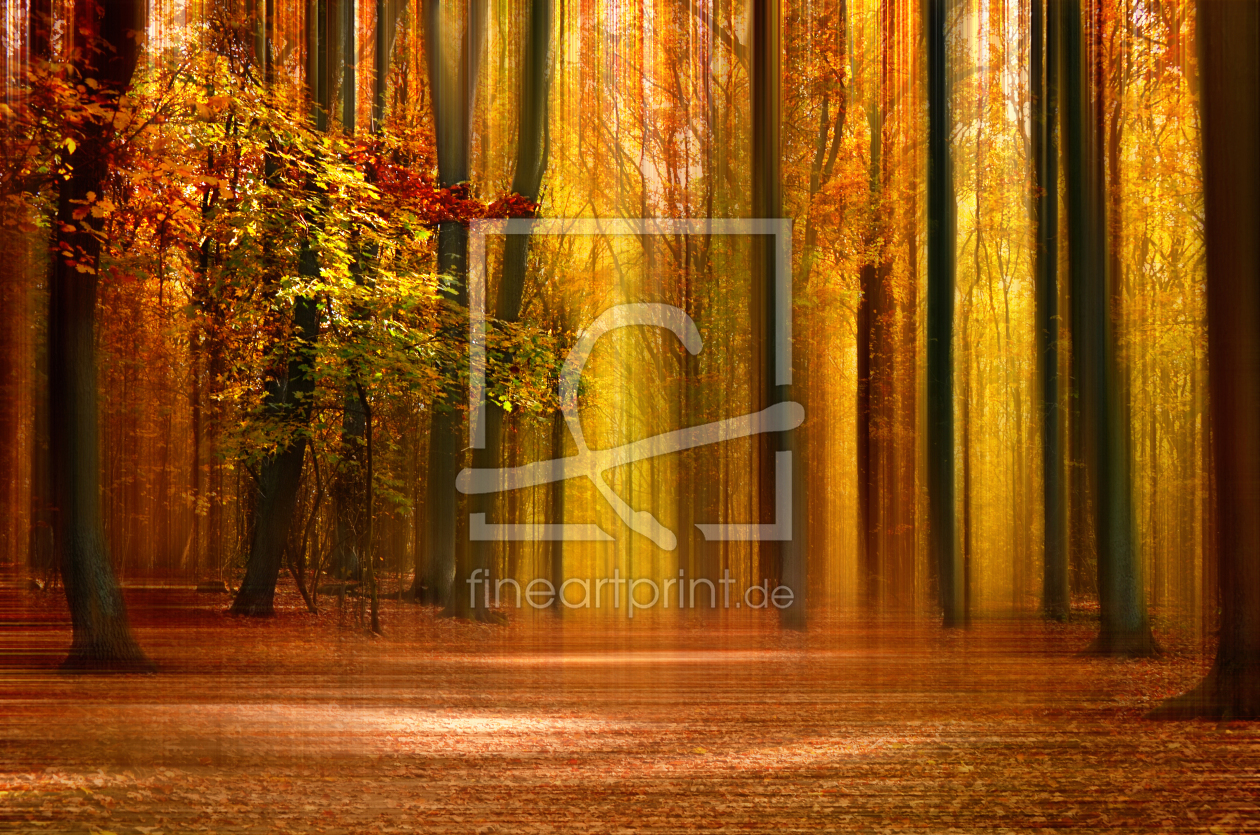 Bild-Nr.: 12910123 Herbst erstellt von Atteloi