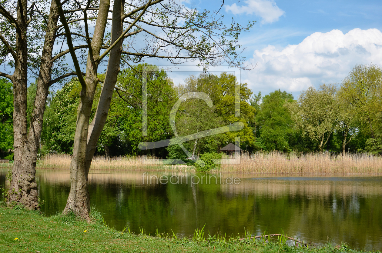 Bild-Nr.: 12911470 Frühling im Park erstellt von Atteloi
