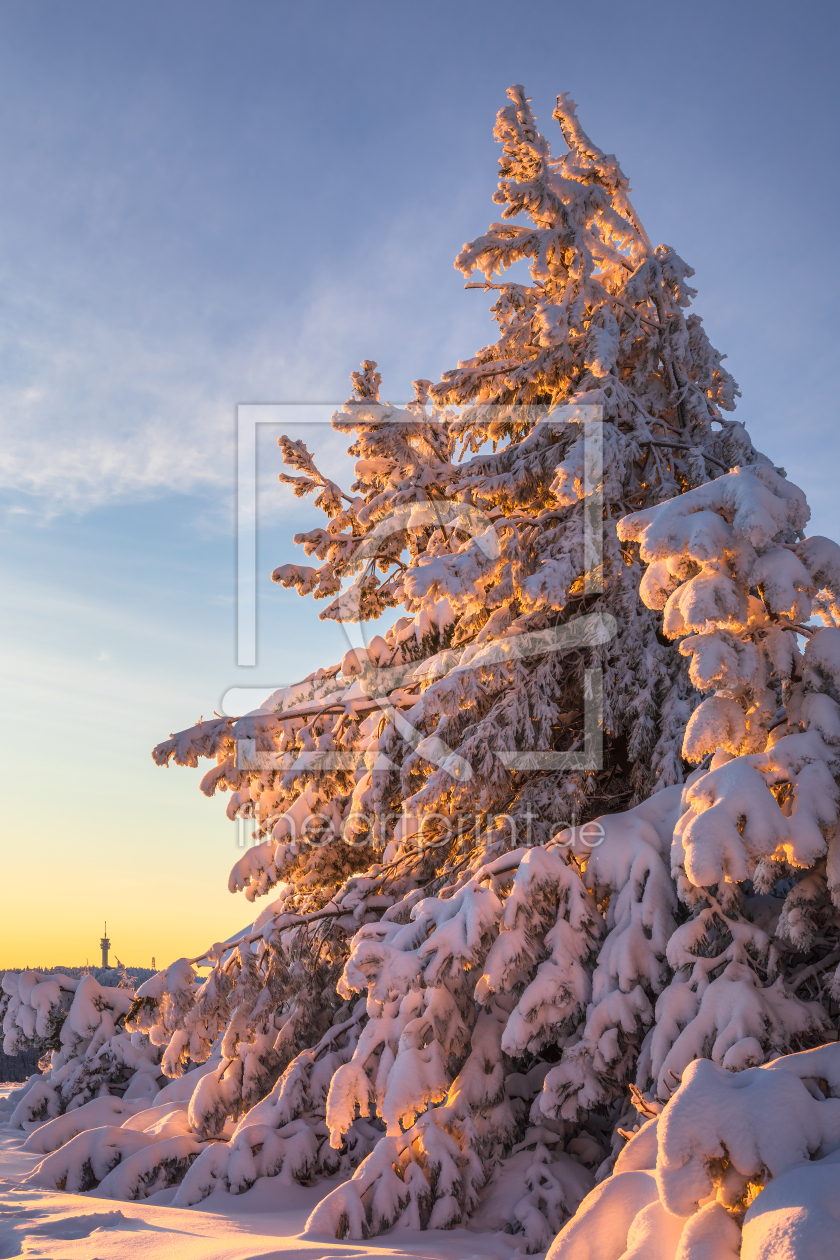Bild-Nr.: 12911805 Blick zum Keilberg bei Sonnenaufgang im Winter erstellt von Daniela Beyer