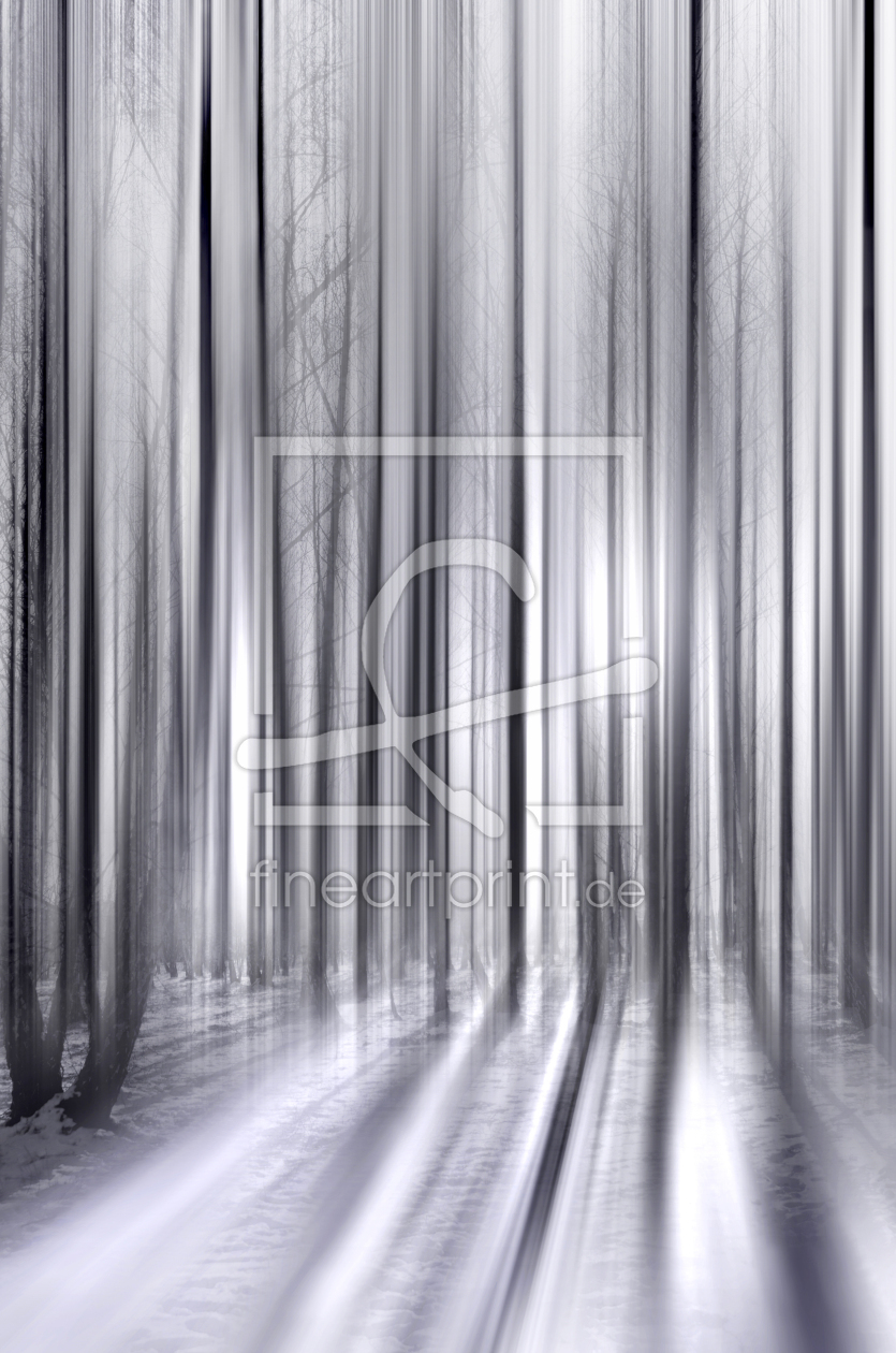 Bild-Nr.: 12912355 Winterwald erstellt von Atteloi