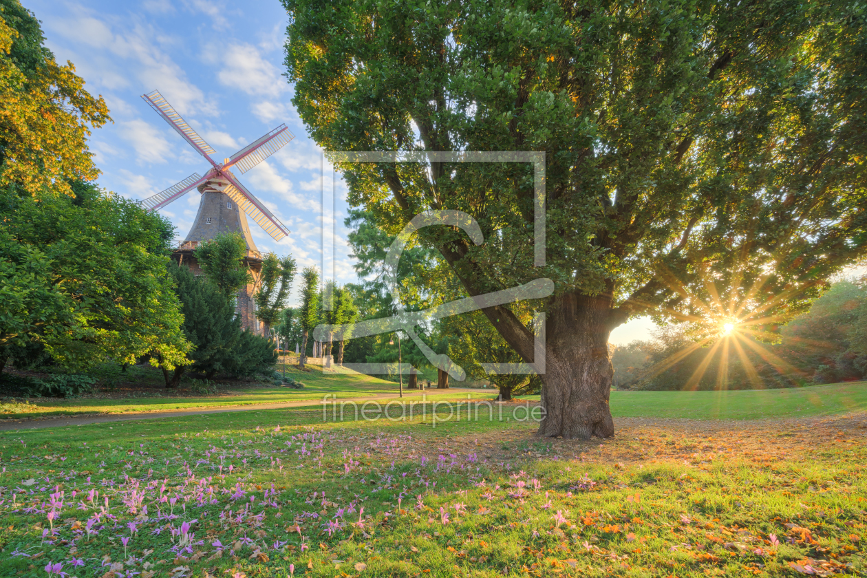 Bild-Nr.: 12912550 Mühle am Wall in Bremen erstellt von Michael Valjak