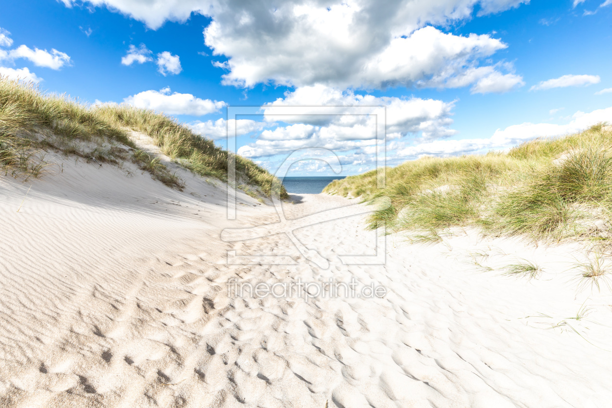 Bild-Nr.: 12912716 Nordsee Stranddünen erstellt von Ursula Reins