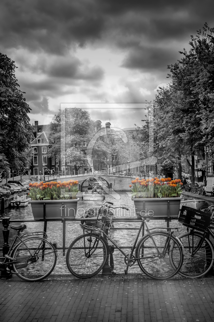 Bild-Nr.: 12912760 Typisch Herengracht Amsterdam erstellt von Melanie Viola