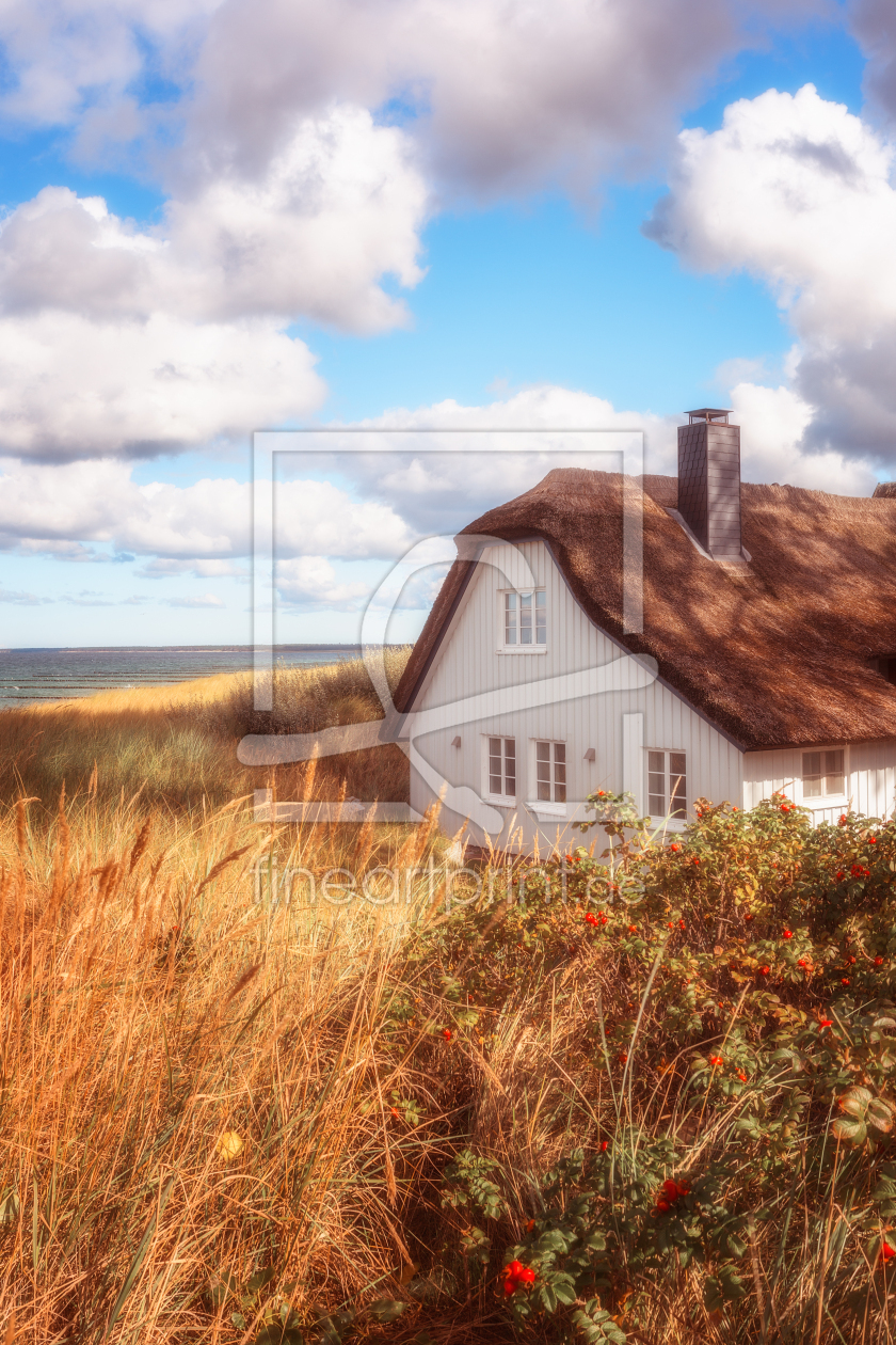 Bild-Nr.: 12913415 Summerdream - Strandhaus in Ahrenshoop erstellt von Daniela Beyer