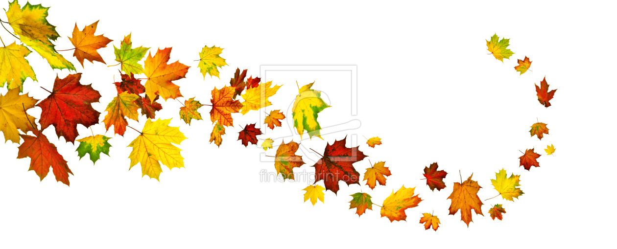 Bild-Nr.: 12913566 Bunte Herbstblätter in fließender Form angeordnet erstellt von Smileus