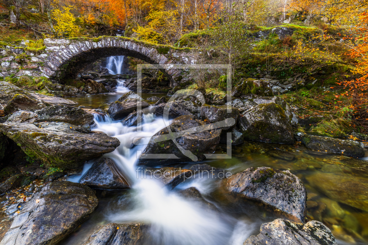 Bild-Nr.: 12913647 kleine Brücke im schottischen Herbstwald erstellt von Daniela Beyer