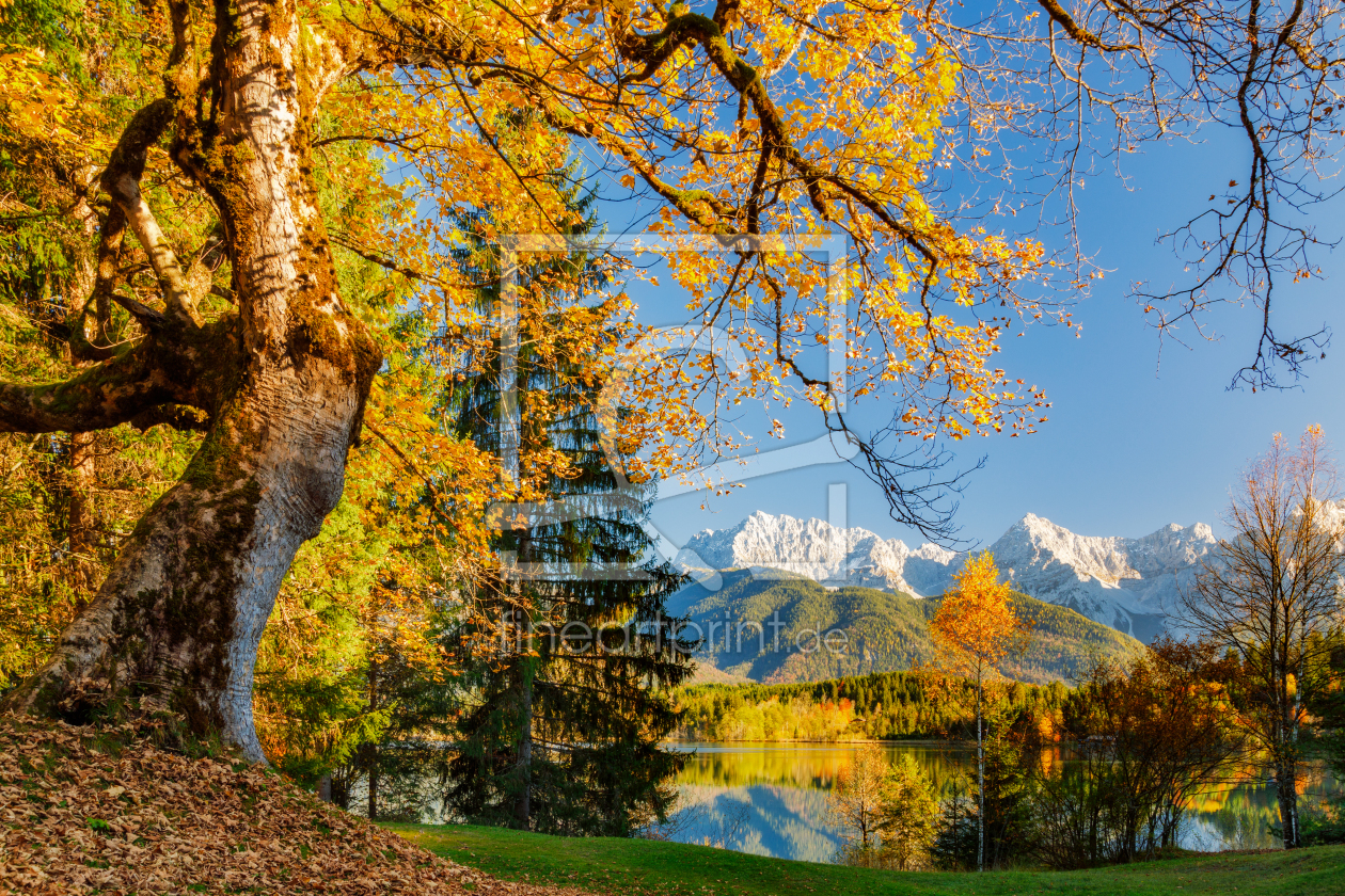 Bild-Nr.: 12913660 traumhafter Herbsttag in deutschen Alpen erstellt von Daniela Beyer