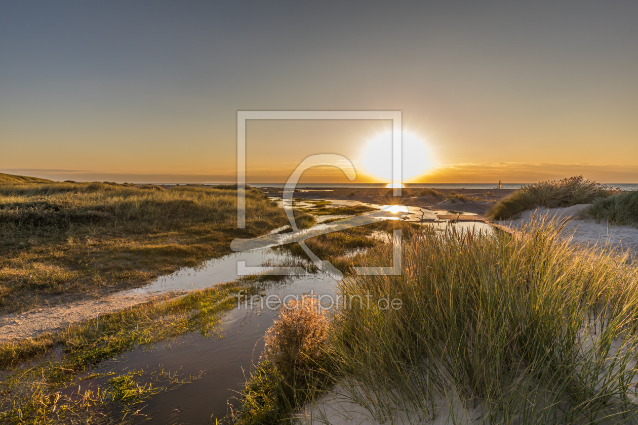 Bild-Nr.: 12913718 Nordsee Salzwiesen im Focus erstellt von Ursula Reins