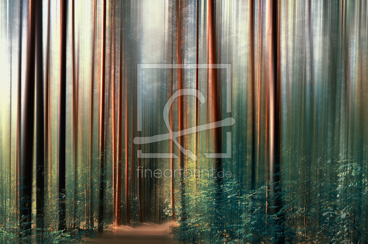 Bild-Nr.: 12913968 Zauberwald erstellt von Atteloi