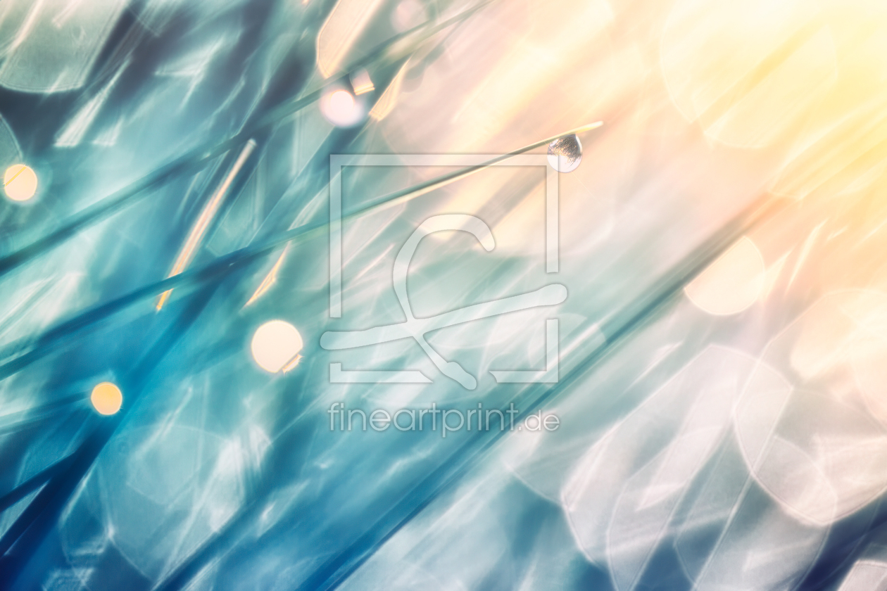 Bild-Nr.: 12914023 rainbow morning erstellt von Daniela Beyer