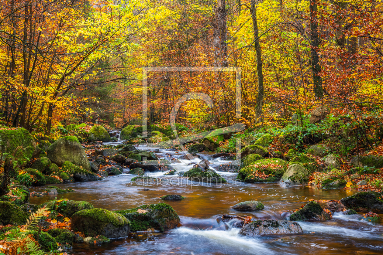 Bild-Nr.: 12914025 Fluss im herbstlichen Wald erstellt von Daniela Beyer