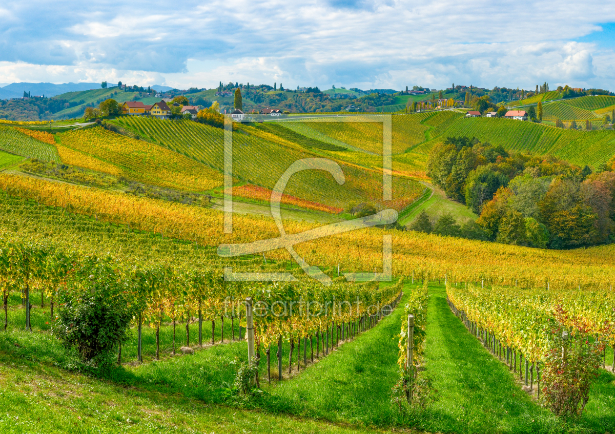 Bild-Nr.: 12914045 Herbst in den Weinbergen  erstellt von wompus
