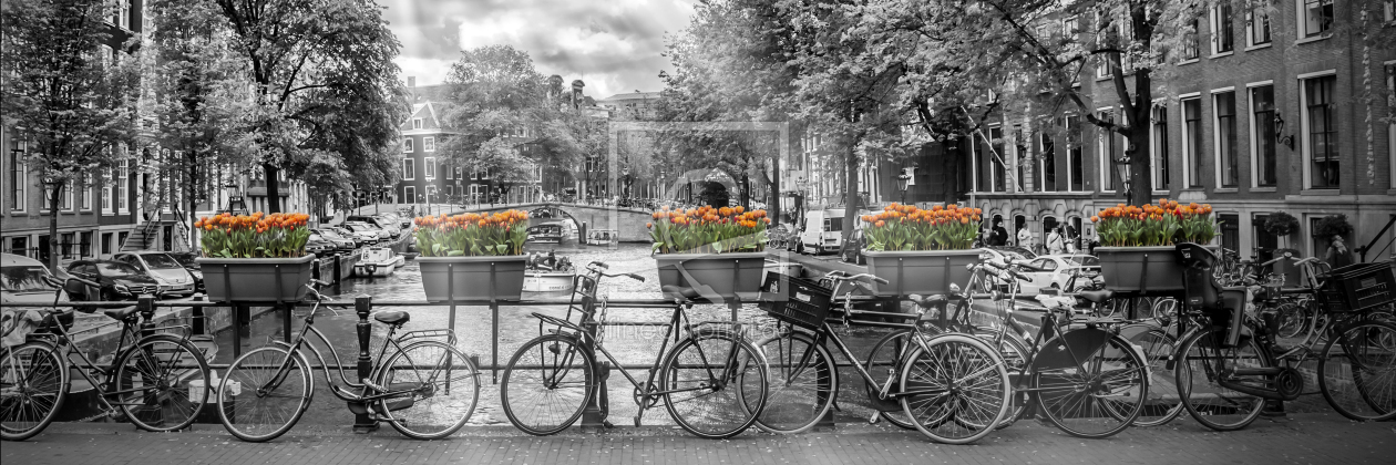 Bild-Nr.: 12914347 AMSTERDAM Herengracht - Panorama  erstellt von Melanie Viola