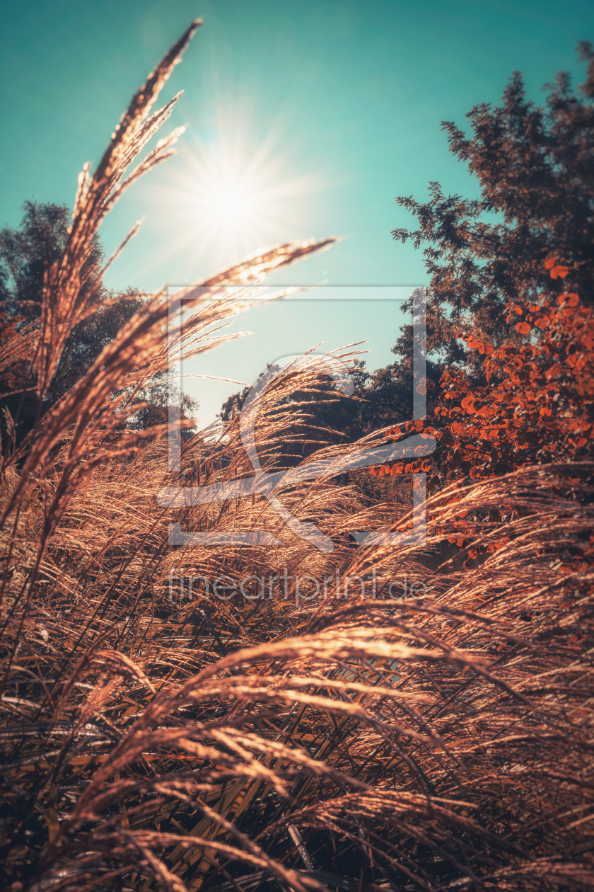 Bild-Nr.: 12914461 Herbstlicht in Hamburg erstellt von Nordbilder