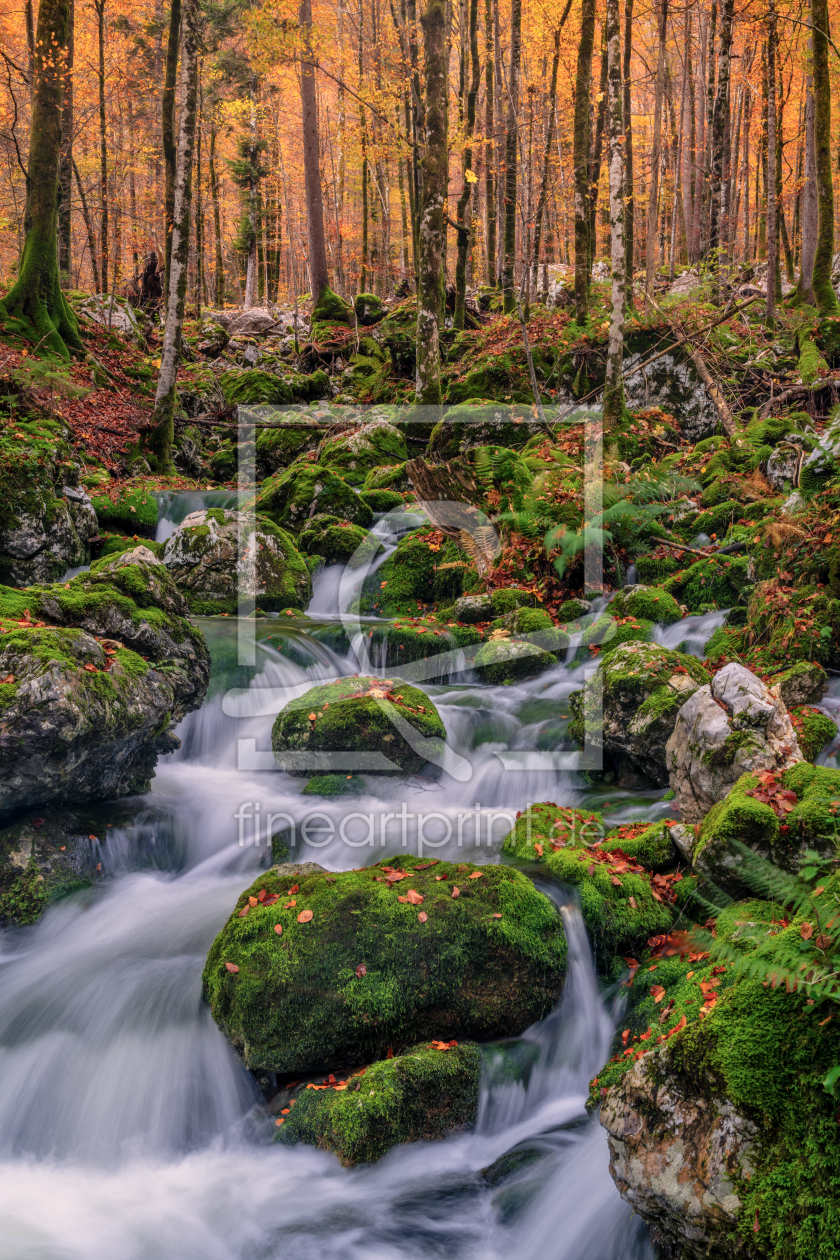 Bild-Nr.: 12914922 Herbstwald erstellt von Achim Thomae