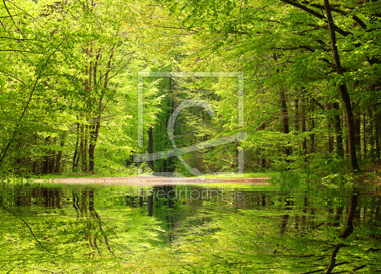 Bild-Nr.: 12914972 Waldweiher erstellt von SusaZoom