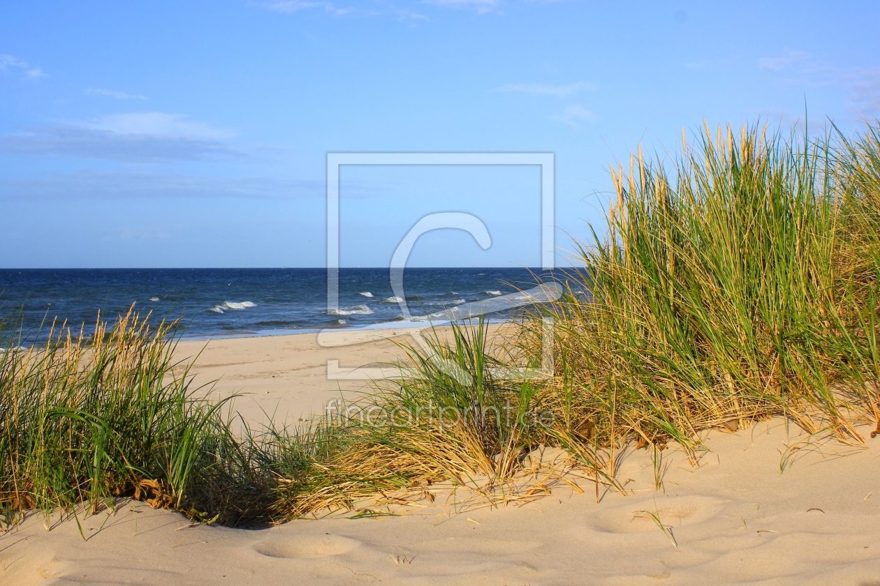 Bild-Nr.: 12914997 Herbstdünen erstellt von Ostseestrand