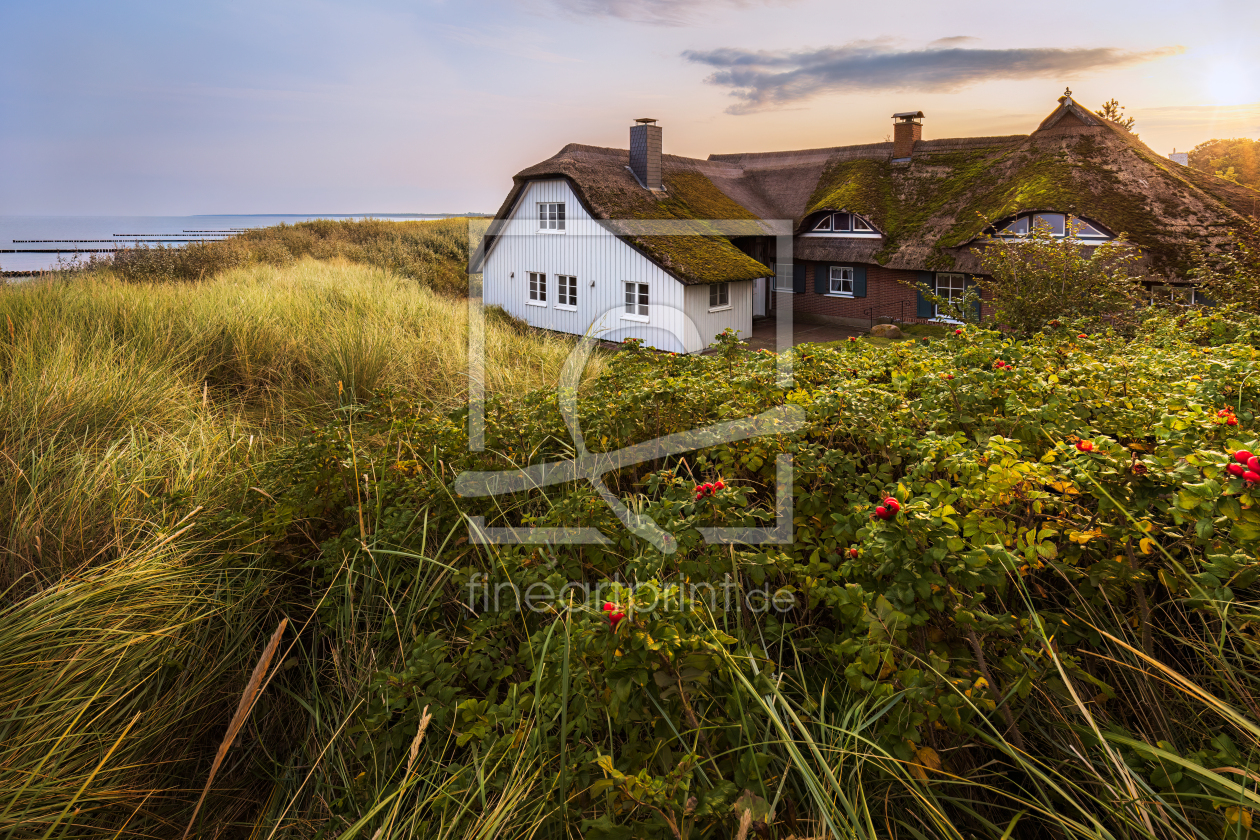 Bild-Nr.: 12915027 Das Strandhaus in Ahrenshoop erstellt von Daniela Beyer