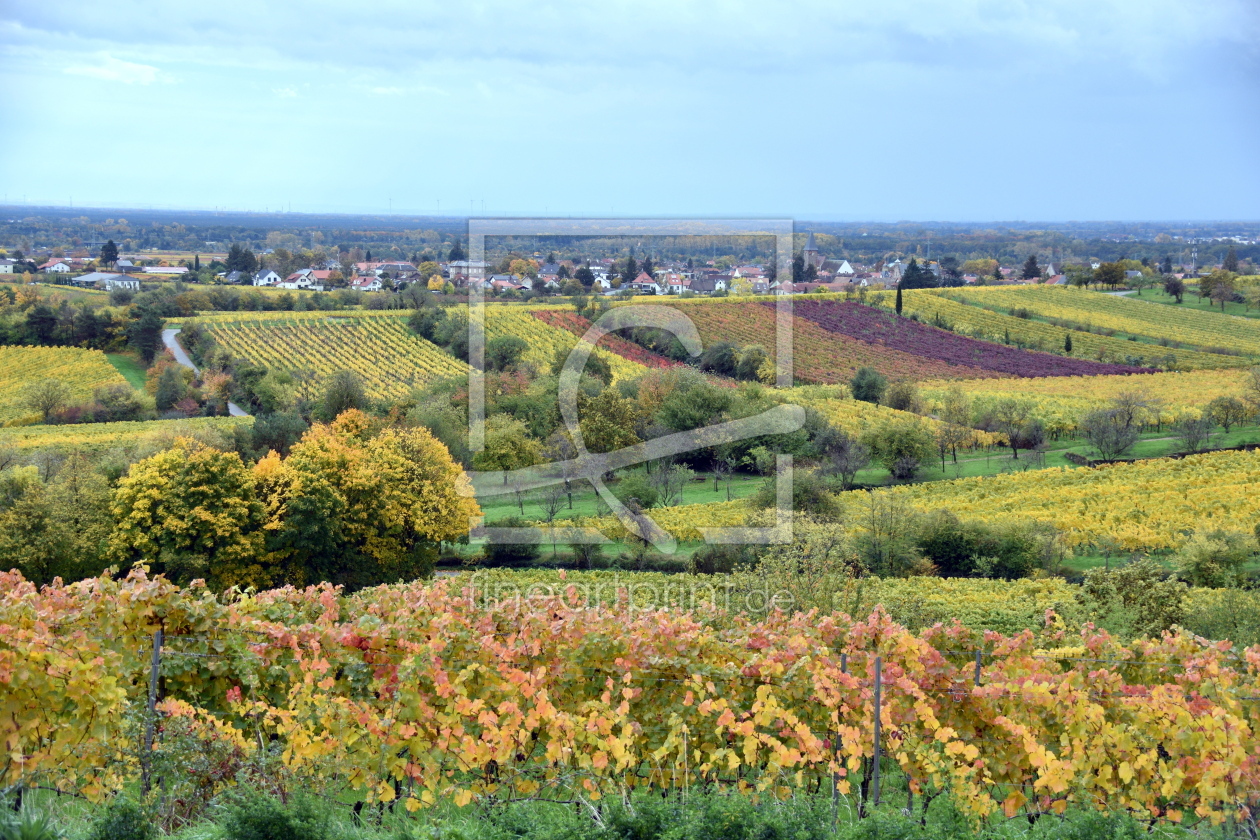 Bild-Nr.: 12915325 Herbst in der Pfalz erstellt von GUGIGEI