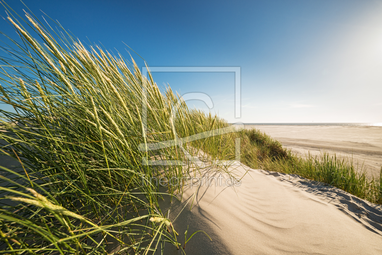 Bild-Nr.: 12915436 Durchblick zum Meer erstellt von Nordbilder