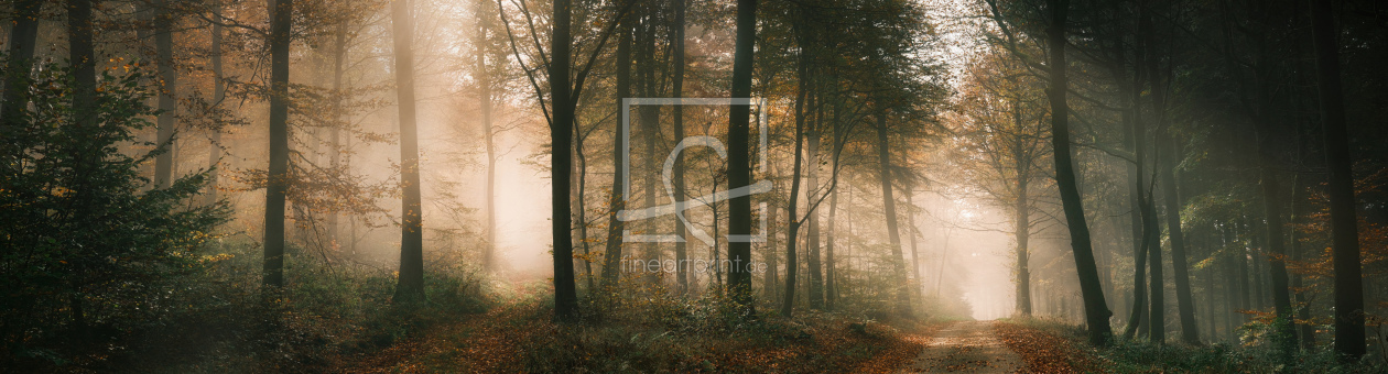 Bild-Nr.: 12915595 Zauberhafte Landschaft im nebligen Wald im Herbst erstellt von Smileus