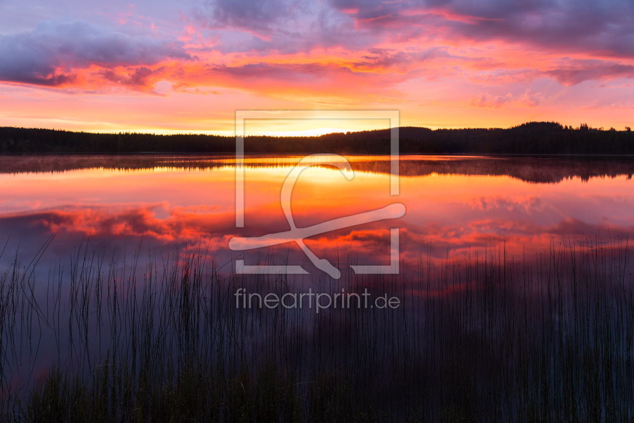 Bild-Nr.: 12915602 Fantastischer Sonnenaufgang am See erstellt von Daniela Beyer