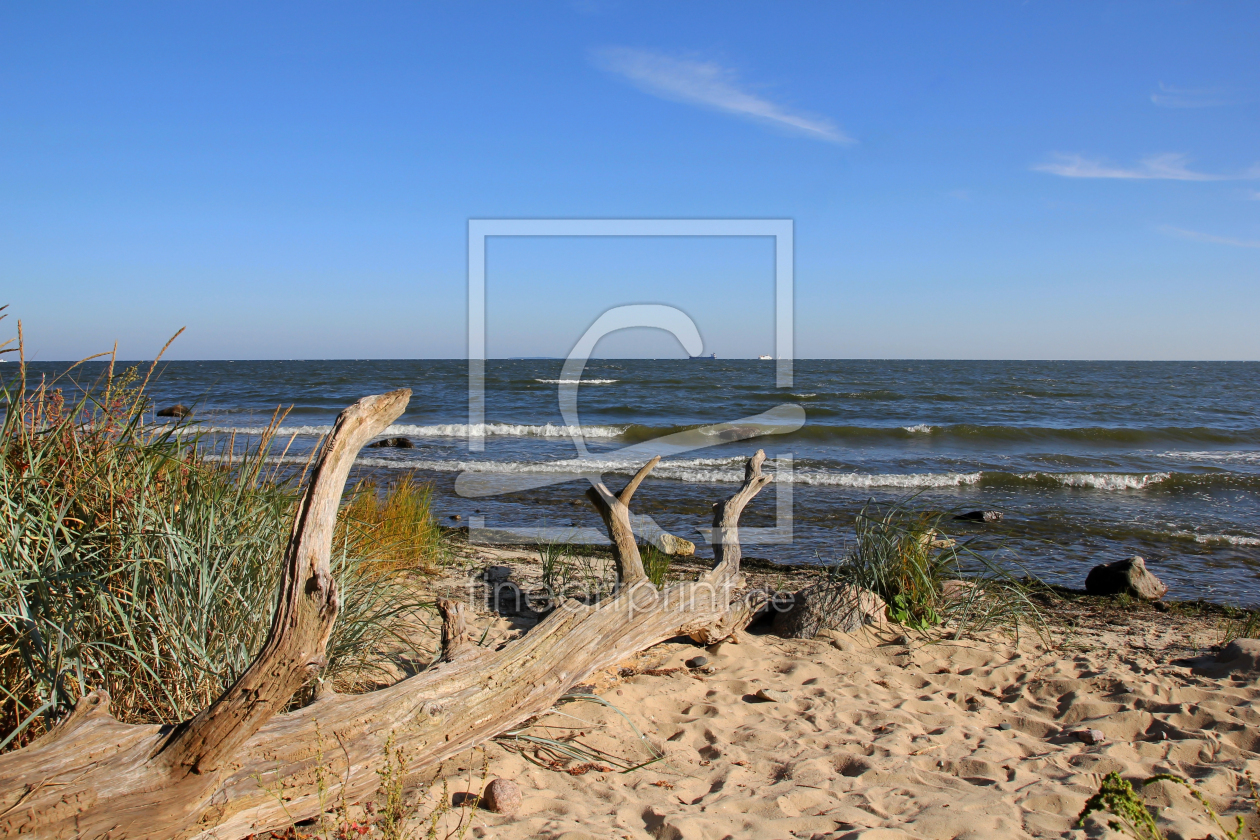 Bild-Nr.: 12916136 Strandgut erstellt von Ostseestrand