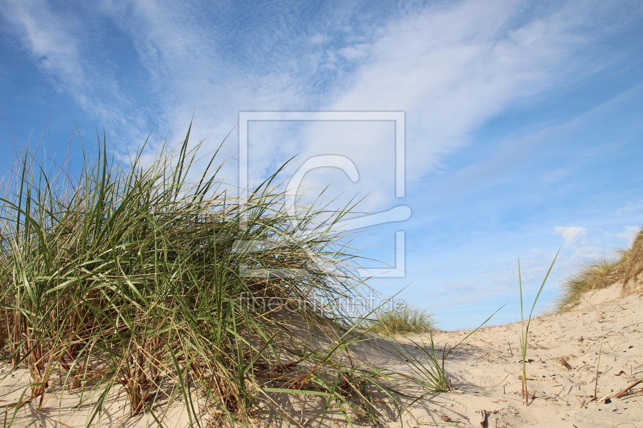 Bild-Nr.: 12916137 Stranddünen erstellt von Ostseestrand