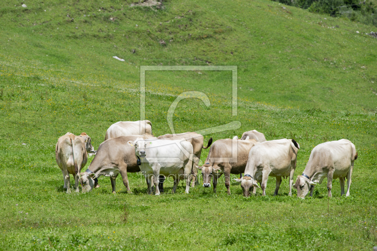 Bild-Nr.: 12916140 Almruhe im Herzen des Allgäus erstellt von Walter G. Allgöwer