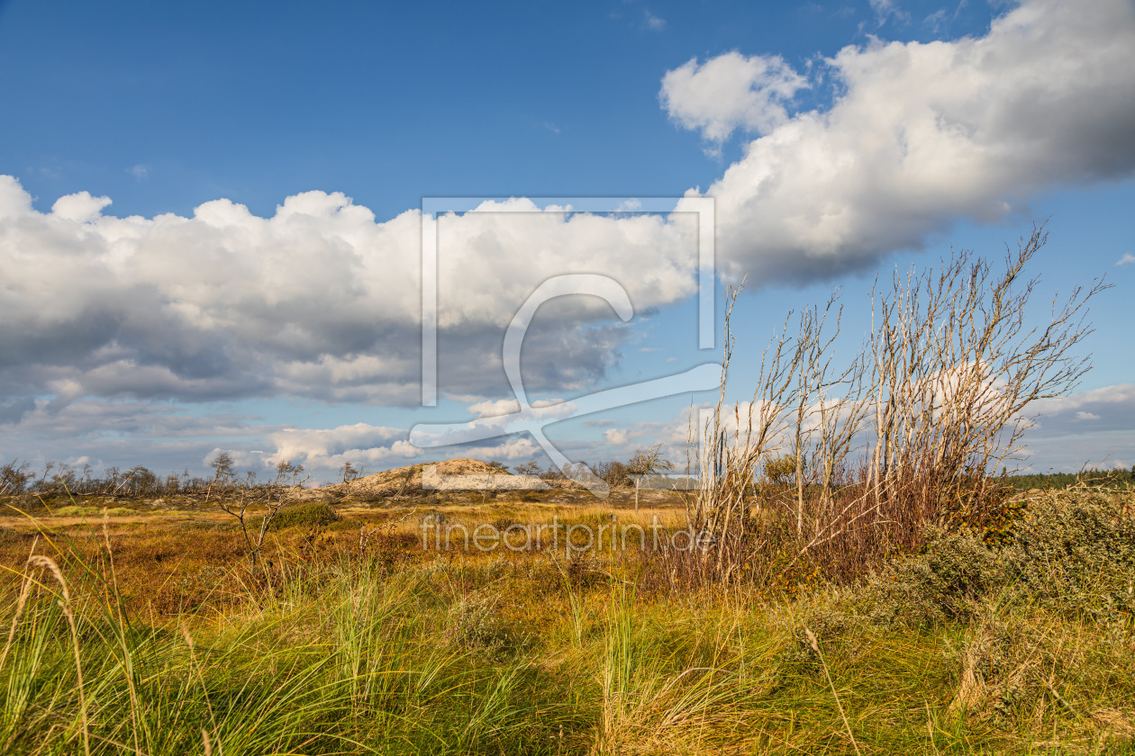 Bild-Nr.: 12916185 Braundünen Landschaft erstellt von Ursula Reins