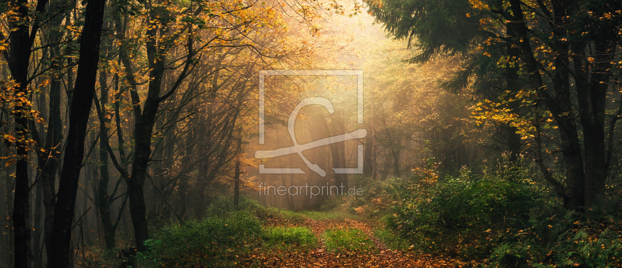 Bild-Nr.: 12916746 Verträumte dramatische Herbstlandschaft im Wald erstellt von Smileus
