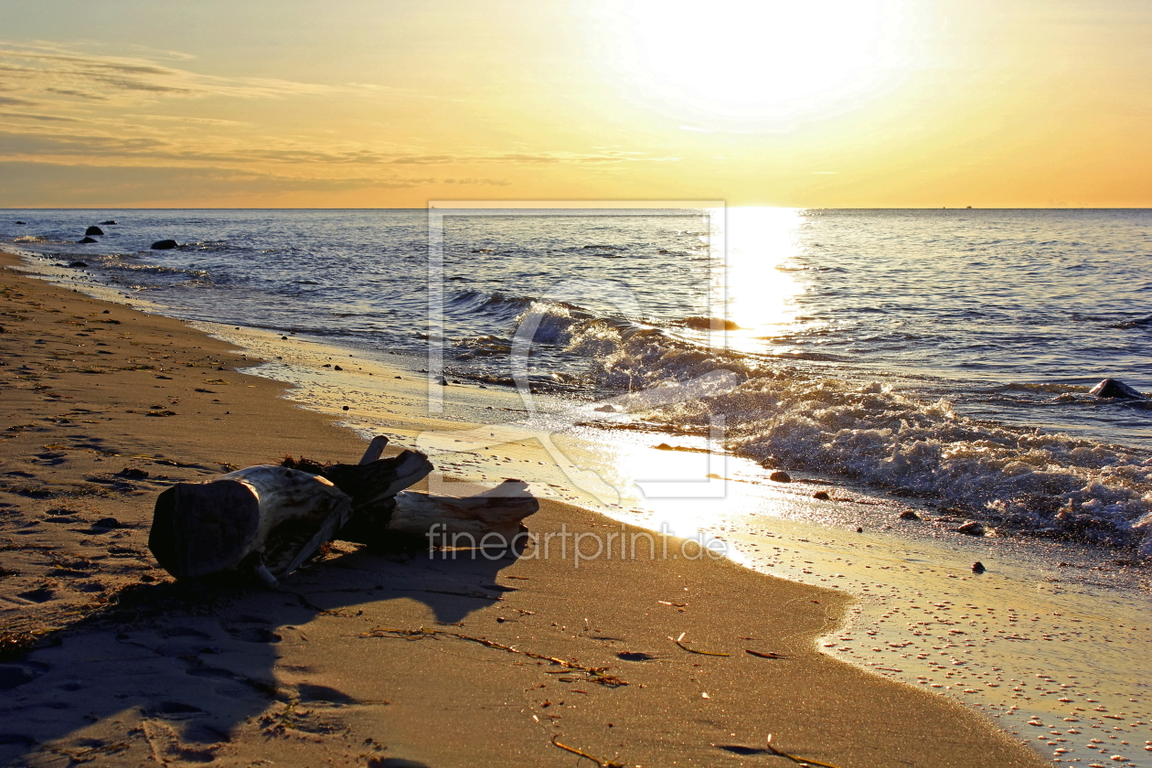 Bild-Nr.: 12916835 Strandgut erstellt von Ostseestrand
