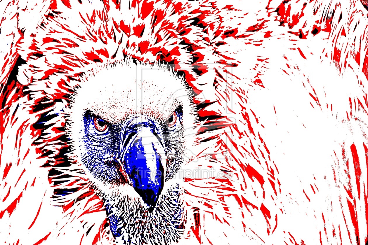 Bild-Nr.: 12916893 Portrait eines Kapgeiers mixed media erstellt von Schwob