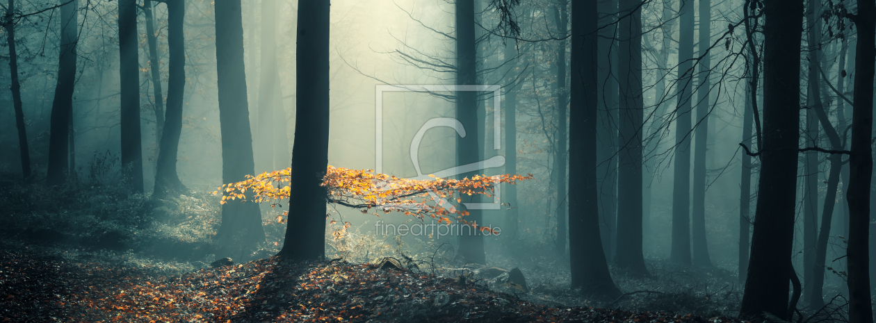 Bild-Nr.: 12916941 Gelbe Blätter auf einem Ast mit hohem Kontrast erstellt von Smileus