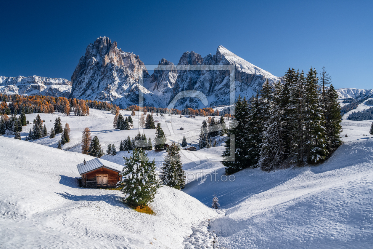 Bild-Nr.: 12917765 Herbst auf der Seiser Alm Südtirol erstellt von Achim Thomae
