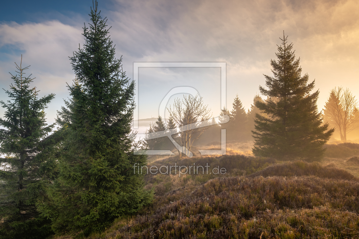 Bild-Nr.: 12918805 Etwas Brocken  erstellt von Steffen Henze