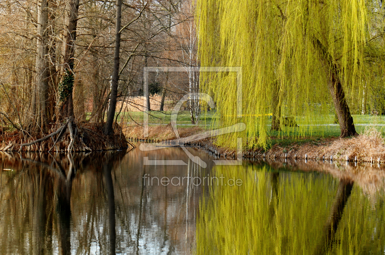 Bild-Nr.: 12918976 Im Park erstellt von Atteloi