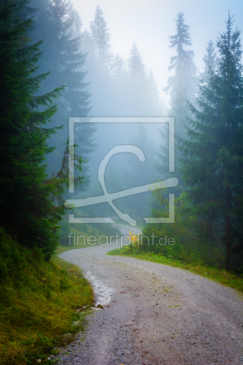 Bild-Nr.: 12919554 Waldweg im Nebel erstellt von Martin Martin Wasilewski