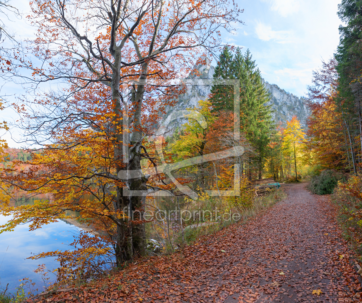 Bild-Nr.: 12920335 Rundweg Laudachsee Salzkammergut im Herbst erstellt von SusaZoom