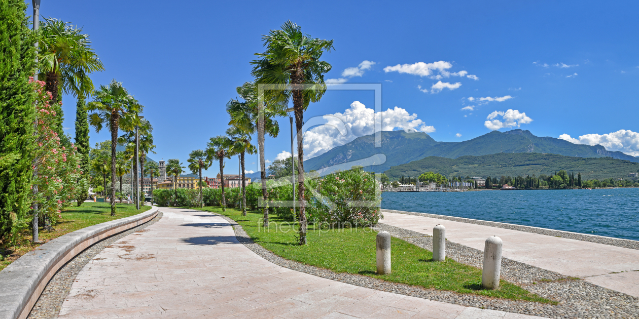 Bild-Nr.: 12920888 Palmenpromenade Riva del Garda erstellt von SusaZoom