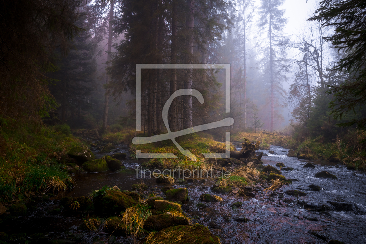 Bild-Nr.: 12921757 Blackforest Autumn erstellt von Thomas Koch