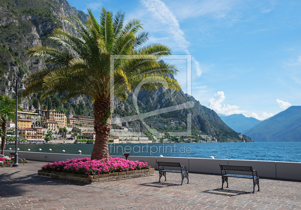 Bild-Nr.: 12921987 Palme am Seeufer Limone sul Garda erstellt von SusaZoom