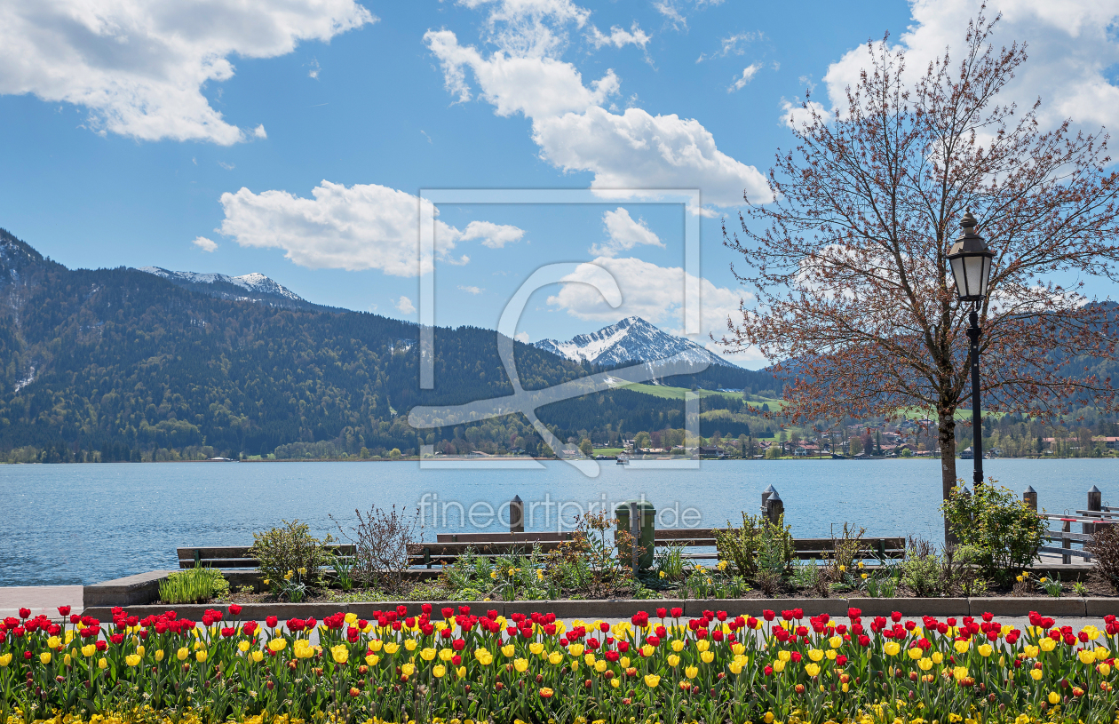 Bild-Nr.: 12921991 Tegernsee Frühlingspromenade erstellt von SusaZoom