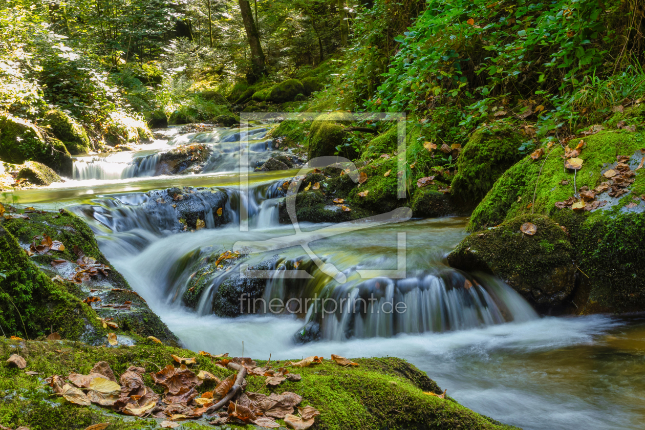 Bild-Nr.: 12922335 Geroldsauer Wasserfall - Schwarzwald erstellt von uh-Photography