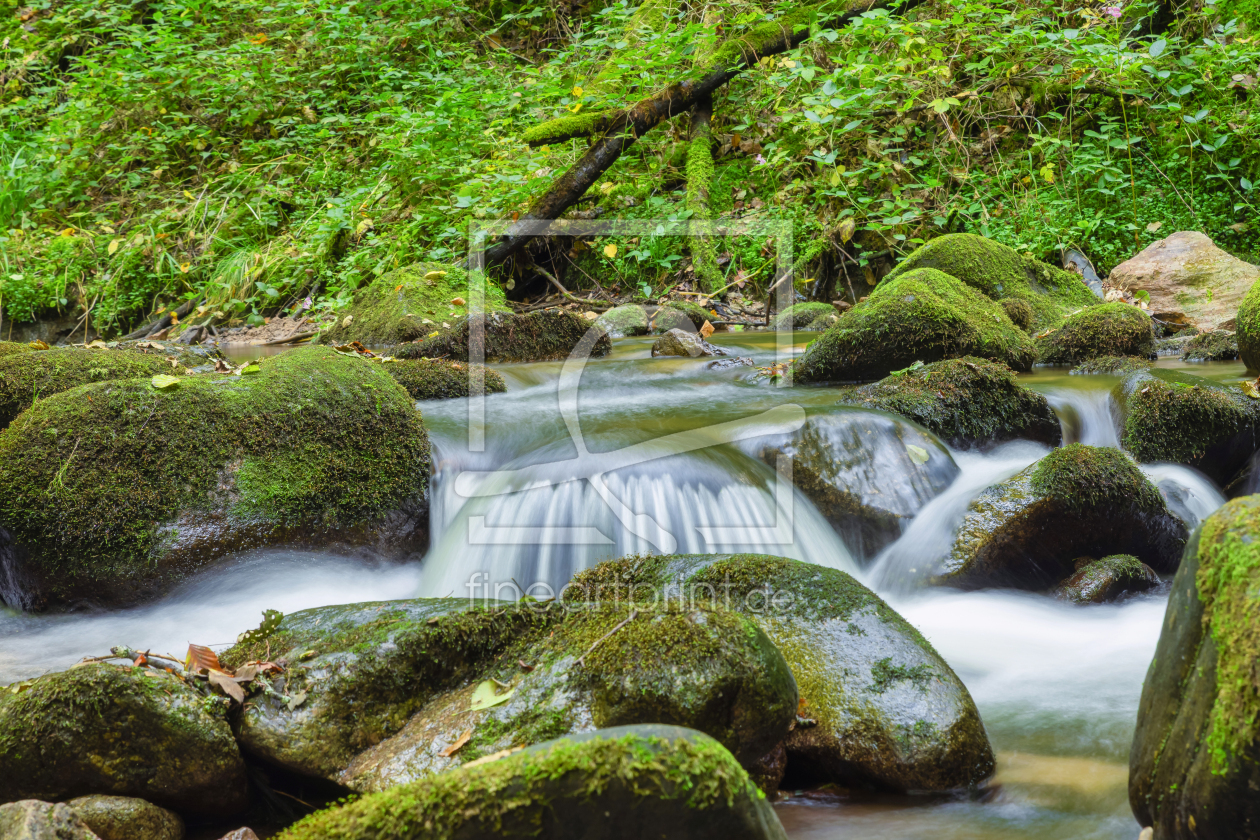 Bild-Nr.: 12922337 Geroldsauer Wasserfall - Schwarzwald erstellt von uh-Photography