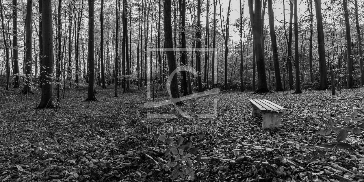 Bild-Nr.: 12922477 RUHEPOL im BLÄTTERWALD   erstellt von Ursula Reins