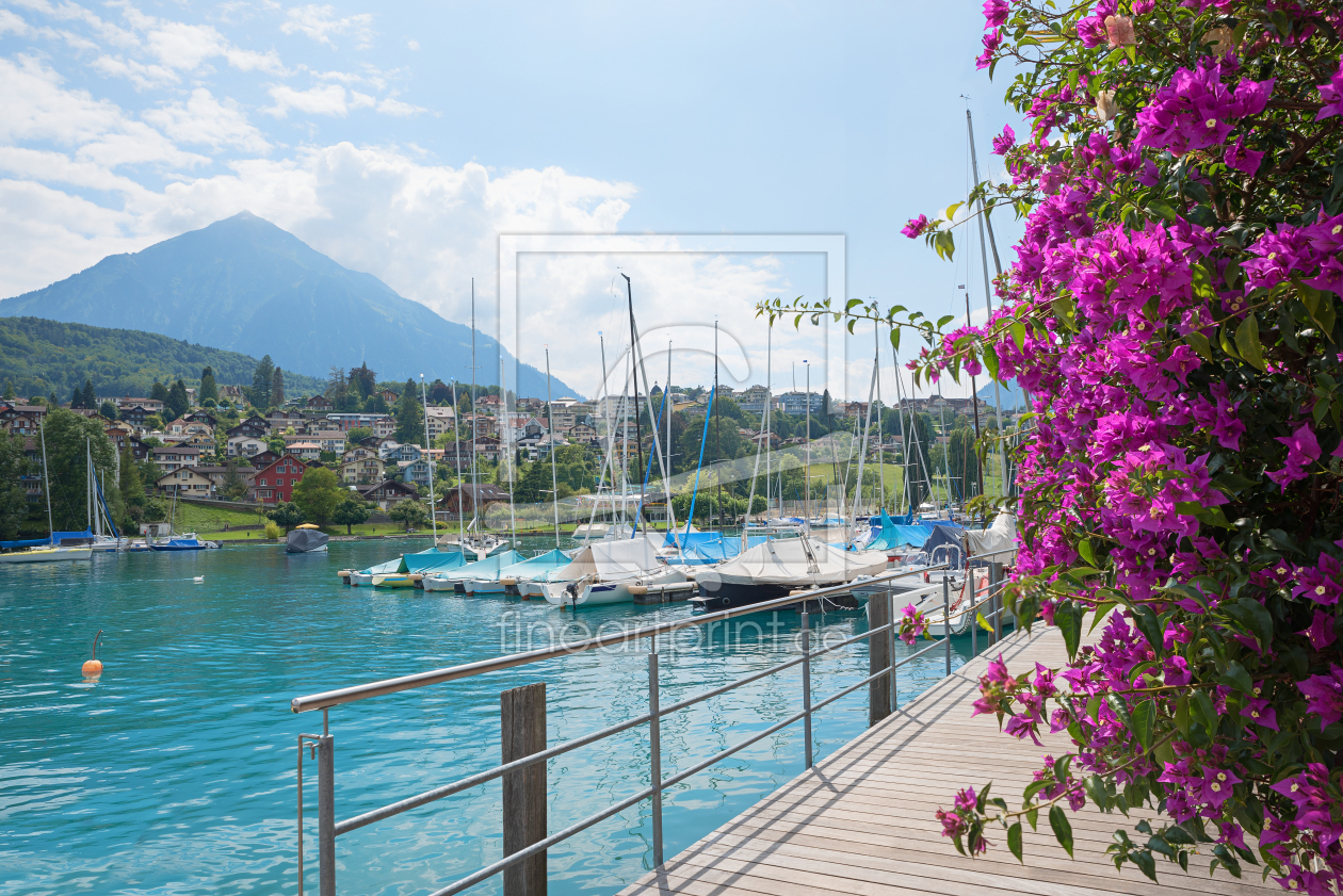 Bild-Nr.: 12923250 Hafen Spiez am Thunersee erstellt von SusaZoom
