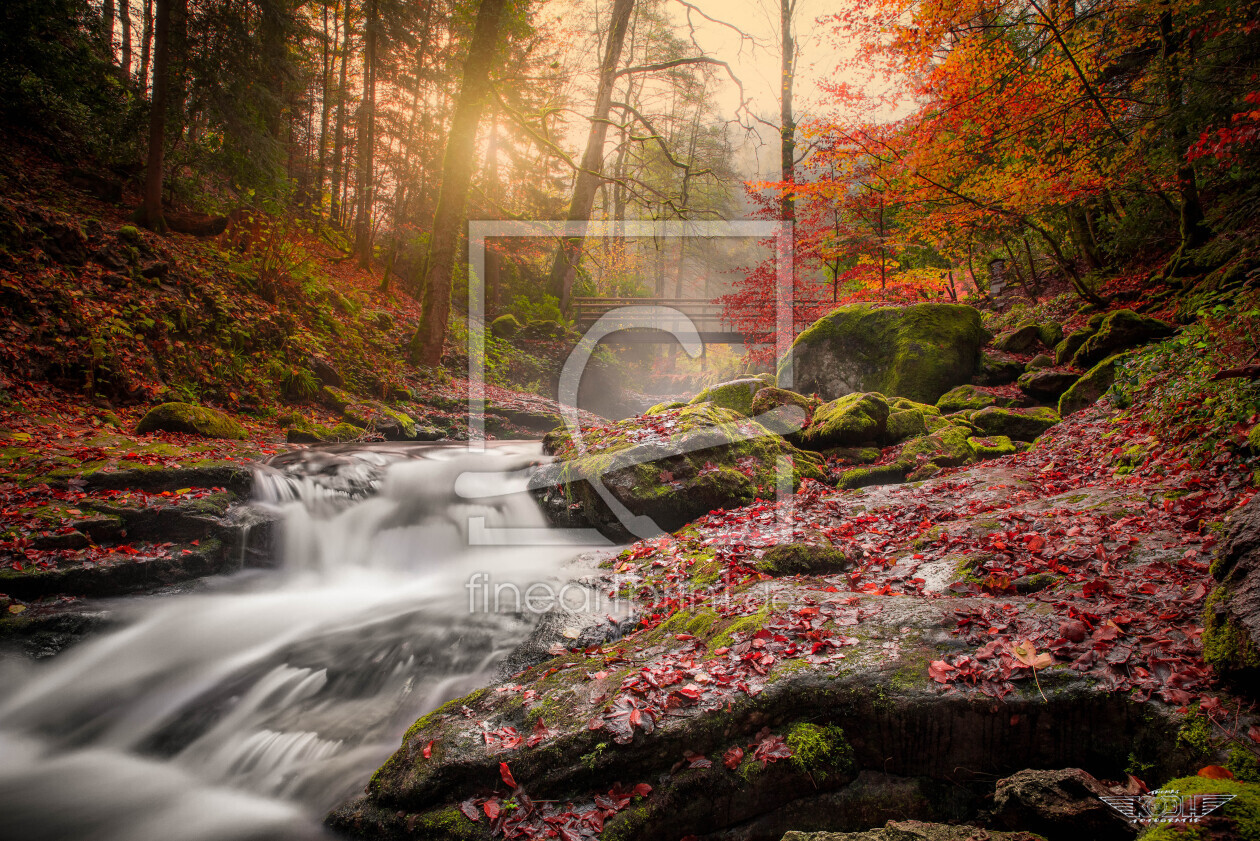 Bild-Nr.: 12923253 Colorfull Autumn erstellt von Thomas Koch